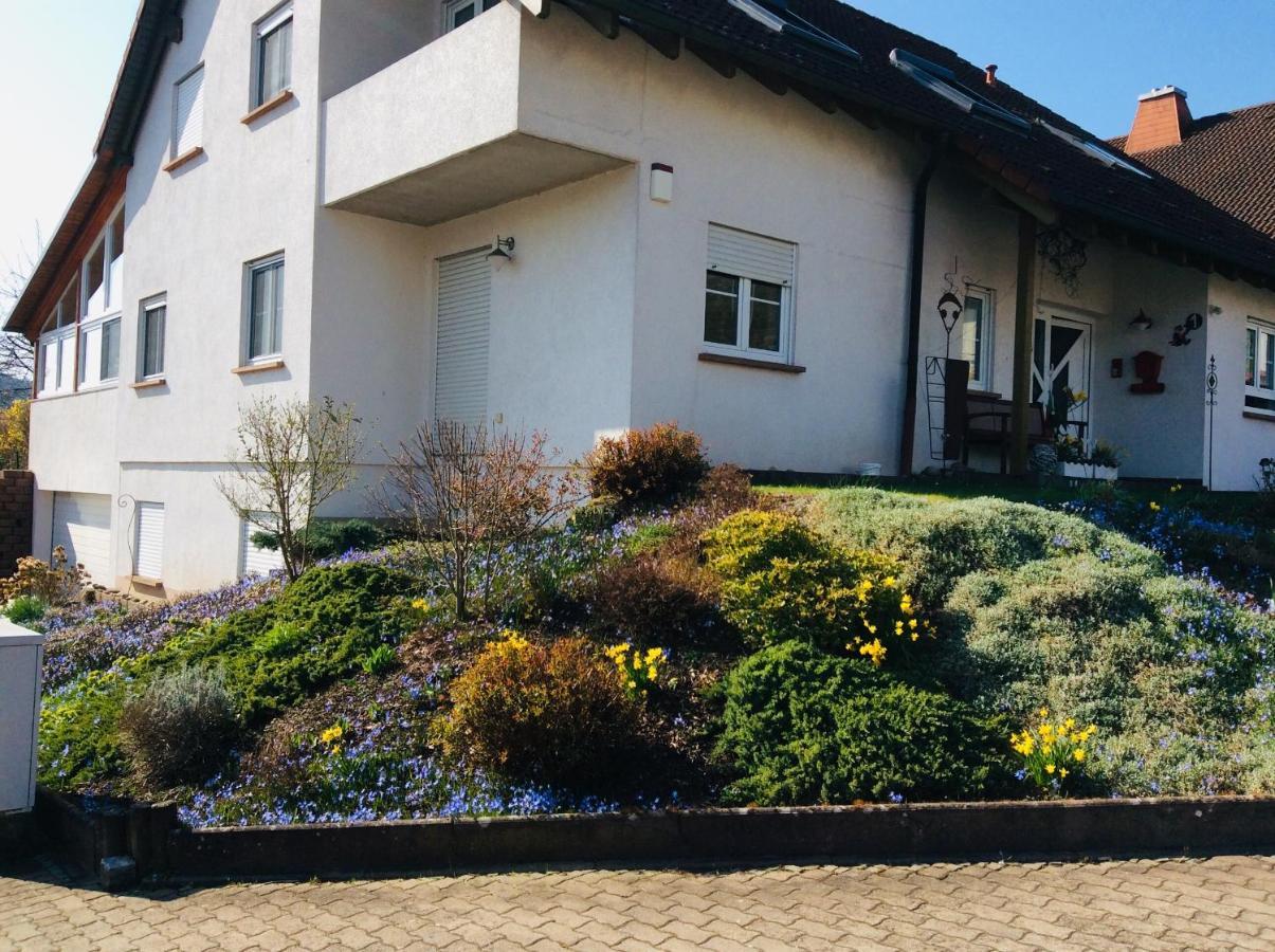 Fernblick Daire Zweibrücken Dış mekan fotoğraf